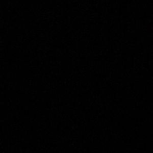 Meet your Posher, Dillon